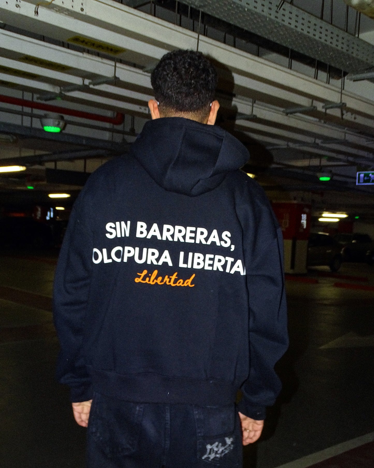 "No barriers, just pure freedom" Hoodie